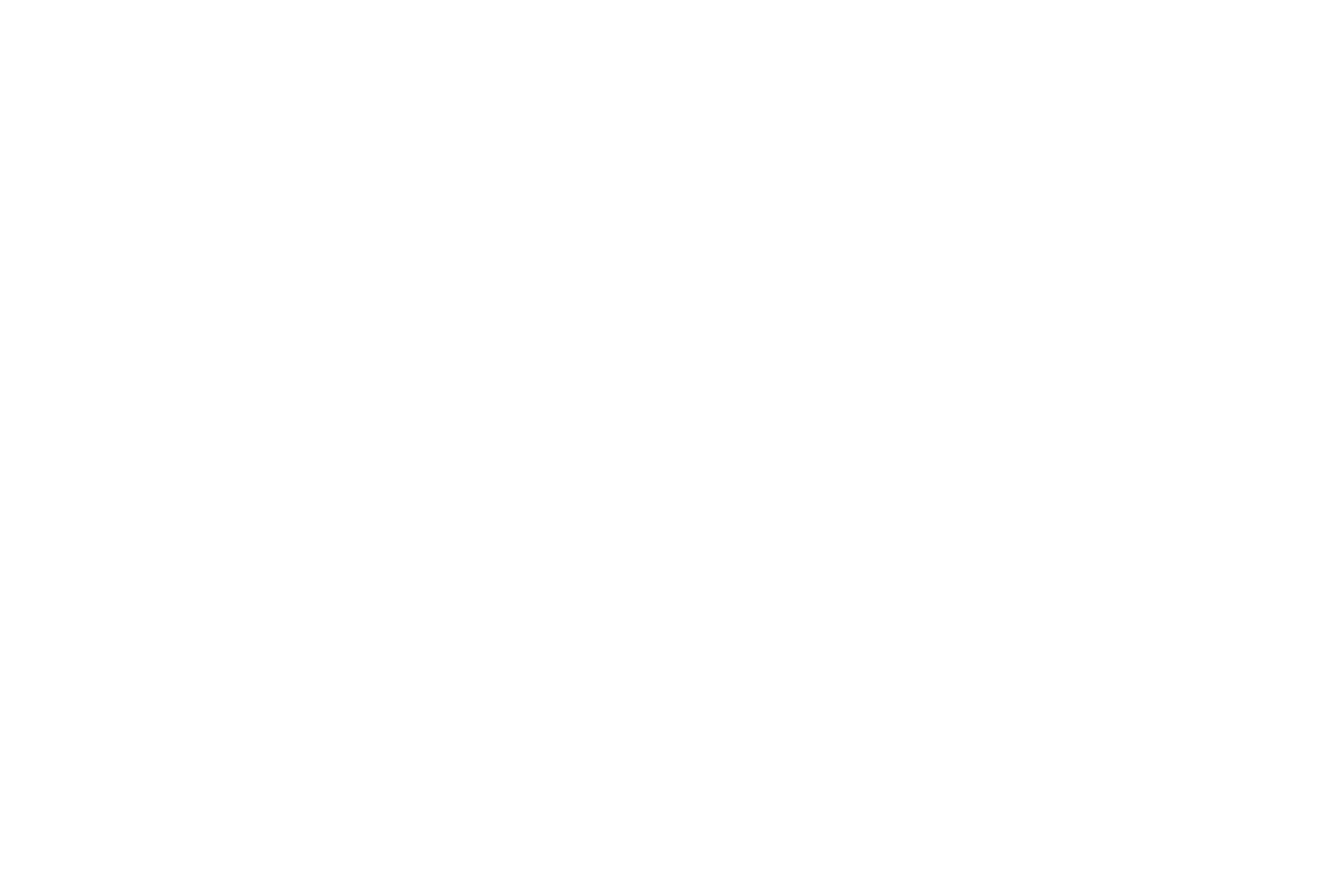 Leman Maritime Logo
